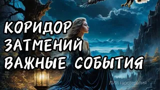 КОРИДОР ЗАТМЕНИЙ  🌒 СОБЫТИЯ#предсказание #алиятаро #таро #коридорзатмений