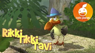 RIKKI TIKKI TAVI Episode 10 | cartoons for kids | stories for children | Jungle book by R. Kipling