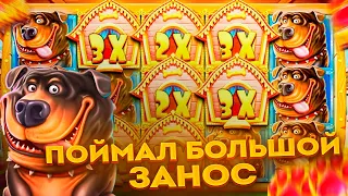 💰МОЙ САМЫЙ БОЛЬШОЙ ЗАНОС В THE DOG HOUSE!