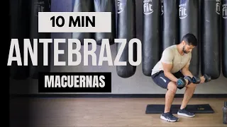 Rutina de antebrazos con mancuernas 🔥 Ejercicios antebrazo en casa 💪 10 minutos a FUEGO