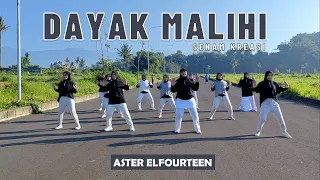 SENAM "DAYAK MALIHI" | Aster Elfourteen | Zaneva Hijab | Choreo by Ery Lukman