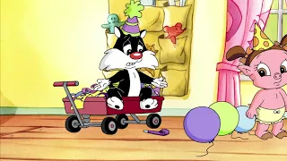 Baby Looney Tunes Piu-piu o mais novinho 3