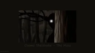 Cosmo Sheldrake - The Moss [Slowed]