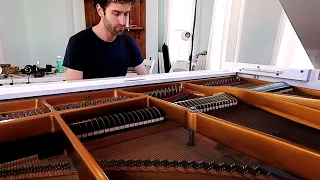 Minecraft theme 'Mutation' on piano