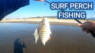 SURF PERCH FISHING & SET UP For Beginners ** SEASIDE, OREGON