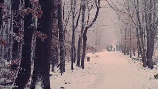 Классическая музыка расслабляет душу и сердце, вечная зима - Моцарт, Бетховен, Шопен, Чайковский..