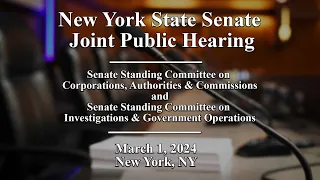 New York State Senate Joint Public Hearing - 03/01/2024