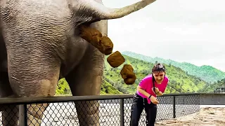 Nanlaki ang Mata ng mga Turista sa Nahagip ng Kanilang Camera sa Zoo!