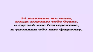 Видеобиблия. Бытие. Глава 40