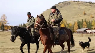 Алтайский заповедник. Село Язула (Телецкое озеро) Сибирь Заповедная. Первозданная Россия. АЛТАЙ.