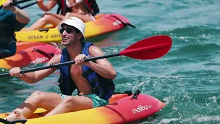 Key West's Best Sandbar Day Excursion. [Key West Bucket List]