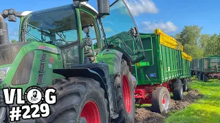 vLog229: Neue Drille läuft - Neue Agroliner VERSENKT 🥳