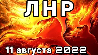 Дима РЕКОМЕНДУЕТ - ПОДДЕРЖИМ / ЛНР - 11 августа 2022
