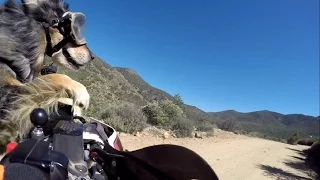 Aussie on KTM 690 in Baja! Day1 Part2 - Ensenada To Mikes Sky Ranch