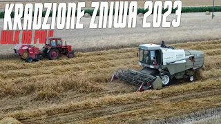 😱KRADZIONE ŻNIWA 2023‼️WILK NA POLU❓2️⃣0️⃣2️⃣3️⃣