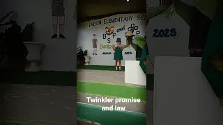 twinkler promise and law