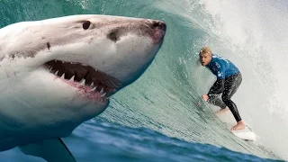 WATCH: Pro Surfer Survives SHARK ATTACK!