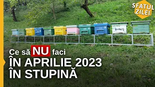 Ce sa NU faci in Aprilie 2023 in stupina!