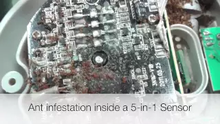 AcuRite 5-in-1 Sensor Maintenance