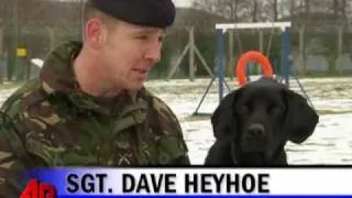 Bomb-sniffing Dog Gets Medal for Heroic Work