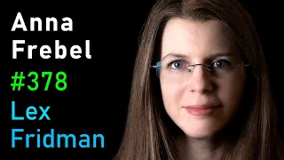 Anna Frebel: Origin and Evolution of the Universe, Galaxies, and Stars | Lex Fridman Podcast #378