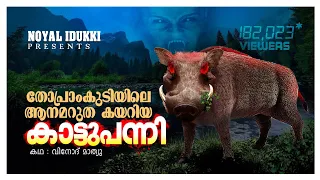 ആനമറുത കയറിയ ഒറ്റയാന്‍ കാട്ടുപന്നി | ഒരു പന്നിവേട്ട | തോപ്രാംകുടി