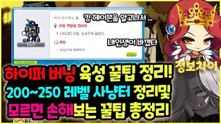 [메이플] 하이퍼버닝 원클릭 가이드 😥 떠먹여 주는 🥣 200~250레벨 사냥과 육성 꿀팁 정리!