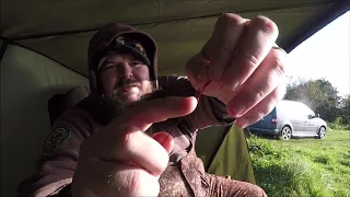 Lough Erne Pike Fishing, How to make a Deadbait Trace and exciting news, Vlog No 38