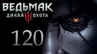 The Witcher 3 / Ведьмак 3 прохождение игры на русском - Прогулки по Скеллиге [#120] | PC