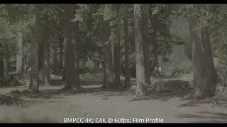 People Walking in the Forest - 60fps Cinema 4K BMPCC4K footage | 12bit BRAW (Dolby Vision Ready)