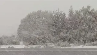 Spring Storm | Pine Valley snow, hair, driving conditions