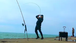 Pier Fishing Lake Michigan SALMON + INSANE MONSTER BYCATCH!