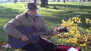 Harmonica Neil Florek -- "Little Red Rooster"