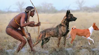 10 Most Ancient Dog Breeds On Earth | These Are 10 Most Ancient Dog Breeds