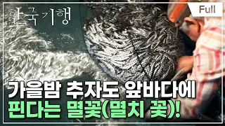 [Full] 한국기행 - 가을섬 추자도 제2부 멸꽃이 피었습니다