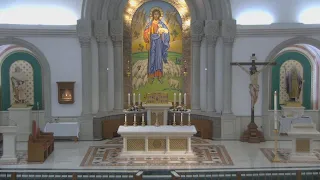 Sunday 11:00 AM Weekly Mass (Latin/English)