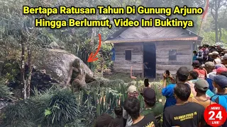 Bertapa Ratusan Tahun Di Gunung Arjuno Hingga Berlumut, Video Ini Buktinya