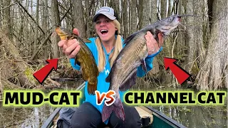 Catfishing The SWAMP! {Catch Clean Cook} CHANNEL CAT vs MUDCAT!