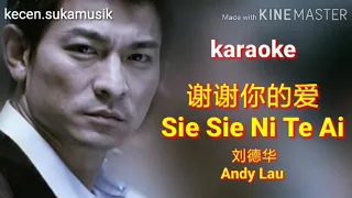 Sie Sie Ni Te Ai - Andy Lau karaoke 謝謝你的愛 - 刘德华