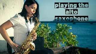 Playing the alto saxophone NO.1