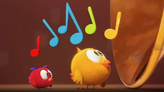 Musical instrument | Where's Chicky? | Cartoon Collection in English for Kids | New episodes