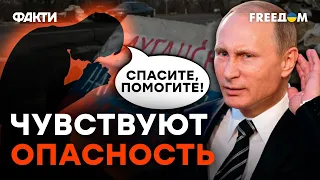 Коллаборанты УМОЛЯЮТ РФ о гарантиях БЕЗОПАСНОСТИ | Комментарий ГУР МО Украины