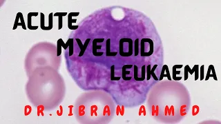 ACUTE MYELOID LEUKAEMIA II HEMATOLOGY II ROBBINS 10TH E II PATHOLOGY LECTURES II @DrJIBRANAHMED