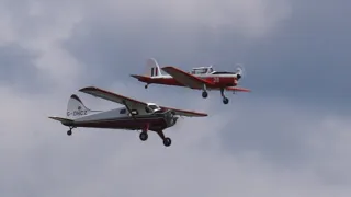 Beaver and Chipmunk at Duxford 5th May 2024