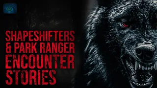 MISSING BODIES AND BEINGS WHO CAN SHAPESHIFT - ENCOUNTER STORIES OF SKINWALKERS AND PARK RANGERS