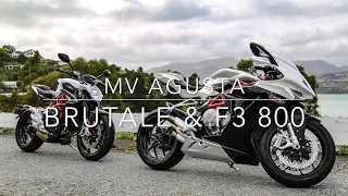 MV Agusta Brutale 800 & F3 800 quick review