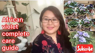 African Violet complete care guide || propagation in water || अफ़्रीकन वाययलेटको कम्प्लीट क्यर टिप्स