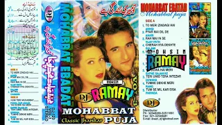 MOHABBAT EBADAT MOHABBAT POOJA ALBUM  3(DJ CLASSIC JHANKAR)