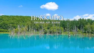 [Miraculous scenery] Japan's most beautiful nature in Biei and Furano in Hokkaido | 北海道・美瑛・富良野旅 vlog