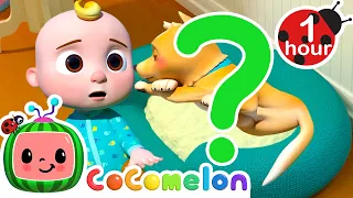 Where do I Find Bingo the Dog? | CoComelon Animal Time - Learning with Animals | Nursery Rhymes